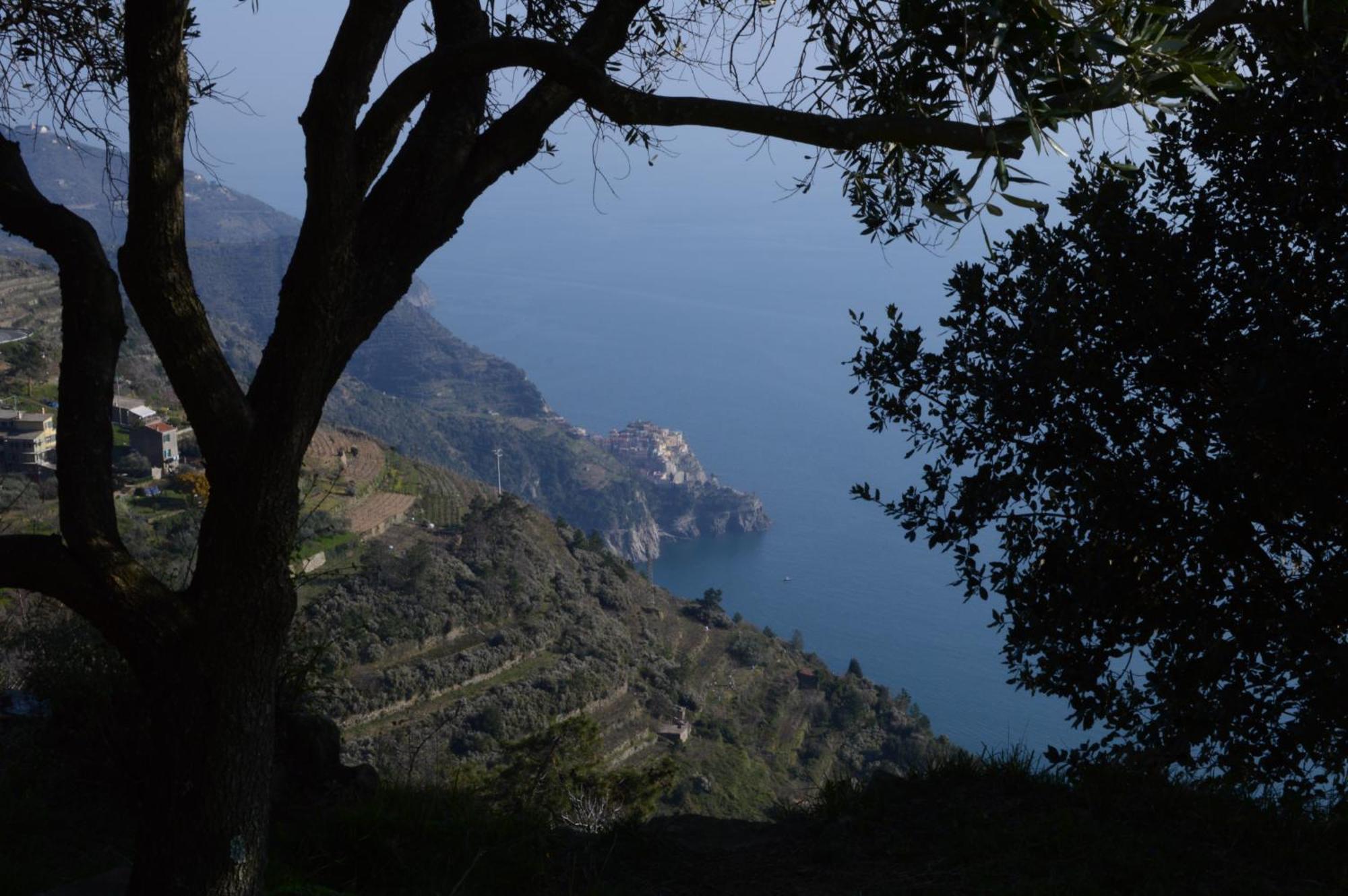 I Tre Grappoli Villa Corniglia Eksteriør billede