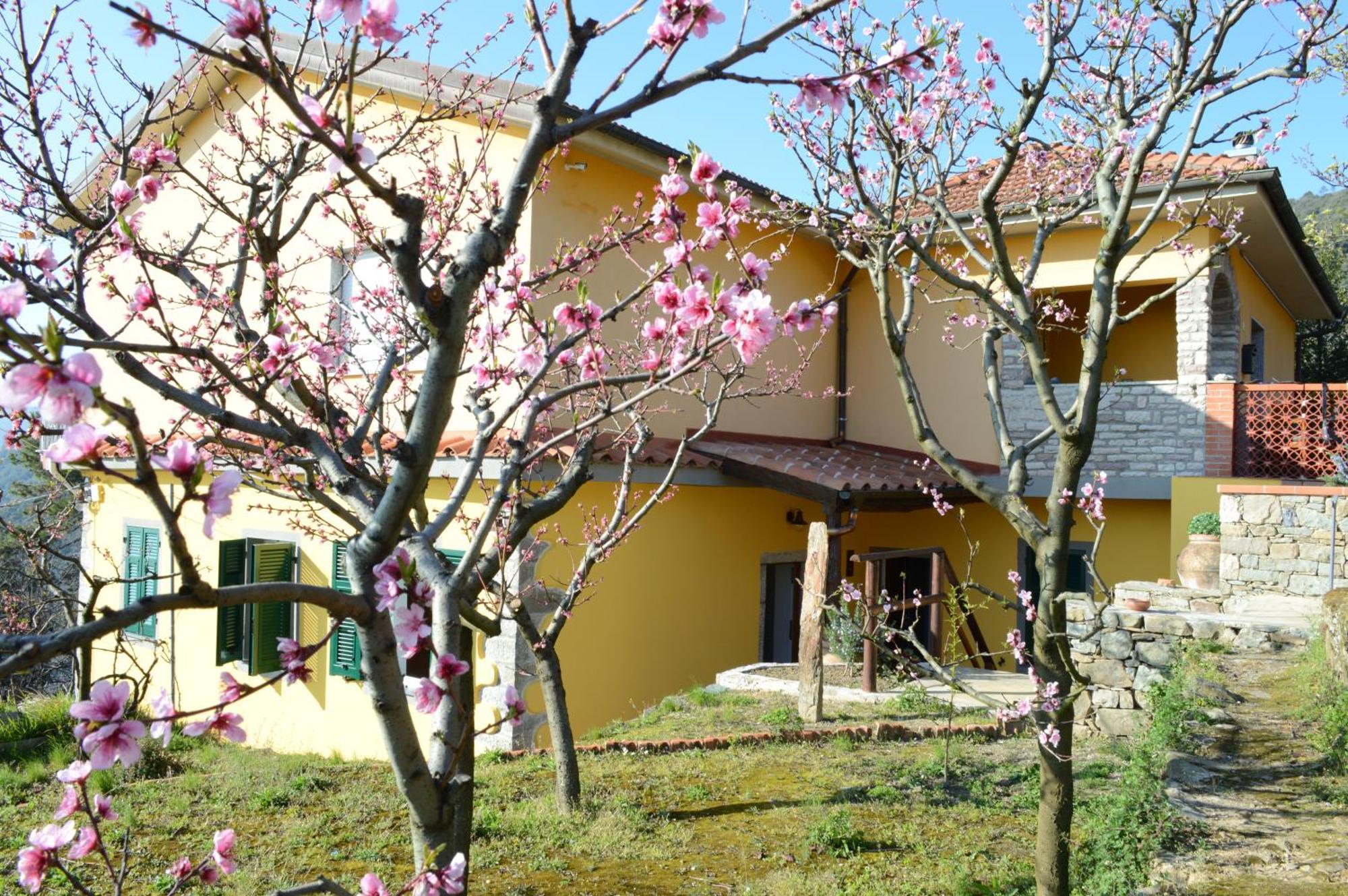 I Tre Grappoli Villa Corniglia Eksteriør billede