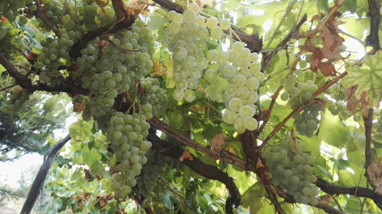 I Tre Grappoli Villa Corniglia Eksteriør billede