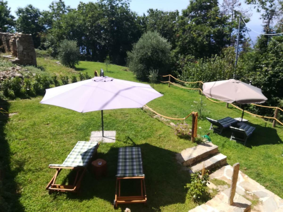 I Tre Grappoli Villa Corniglia Eksteriør billede